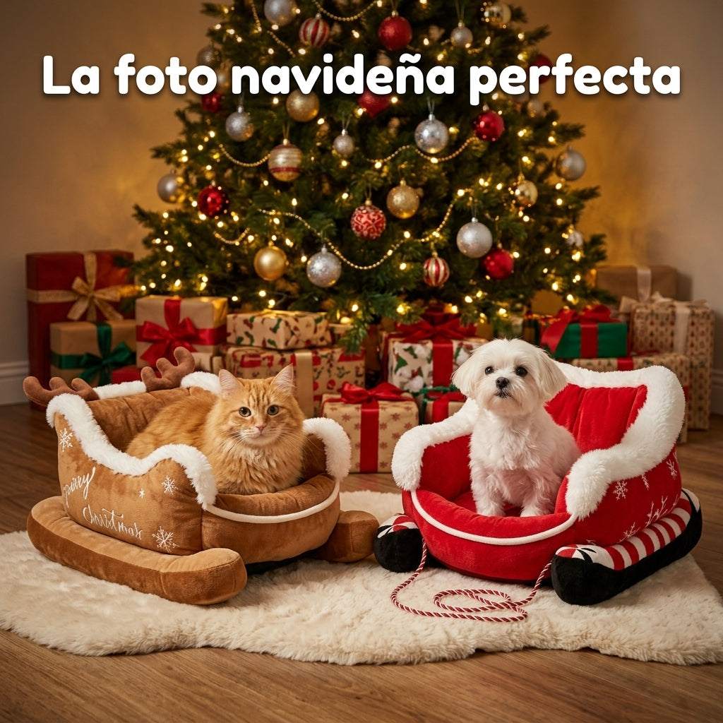 Gato y perro en sus camas trineo junto al árbol